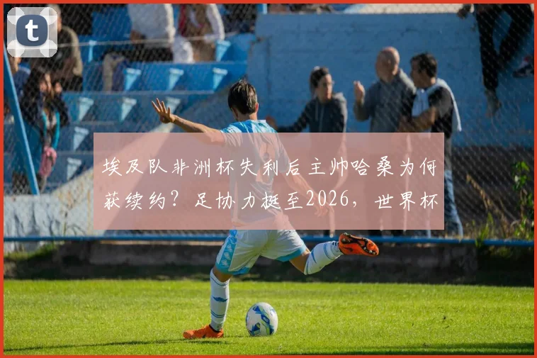 埃及队非洲杯失利后主帅哈桑为何获续约?足协力挺至2026,世界杯前景深度解读